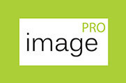 Image pro (Имидж про) Image pro (Имидж про)